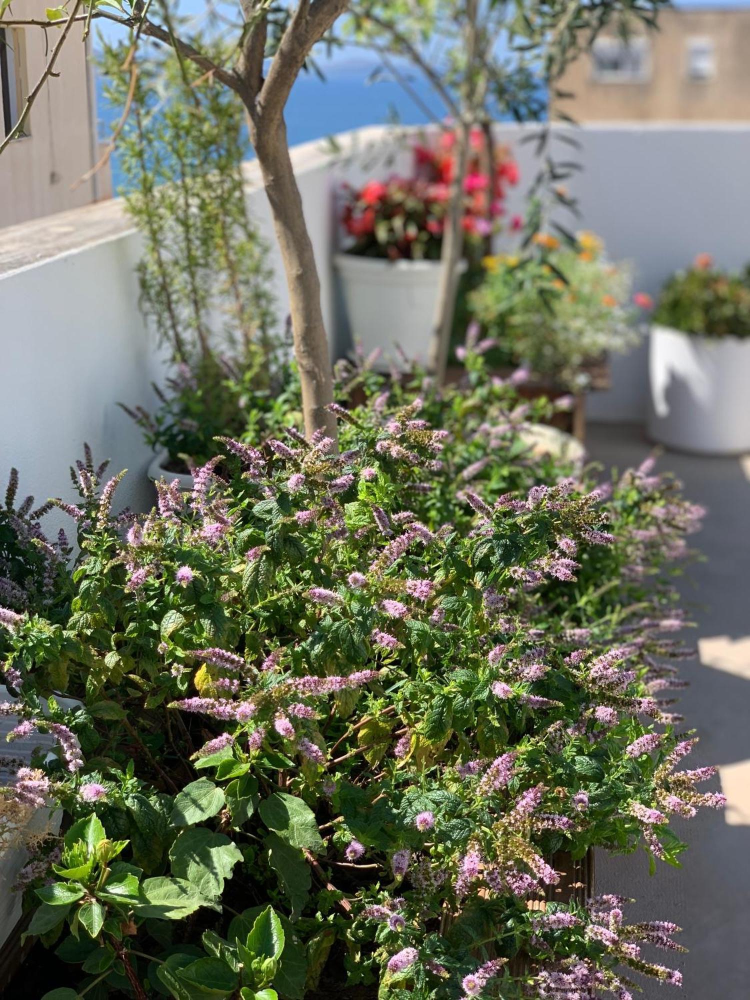 Dream Apartments Saranda 外观 照片